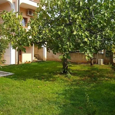 In With Terrace, Wifi